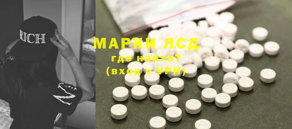 шишки Богородицк