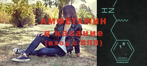 шишки Богородицк
