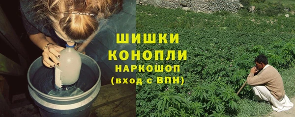 тгк Богородск