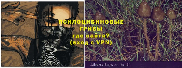 марки lsd Богданович