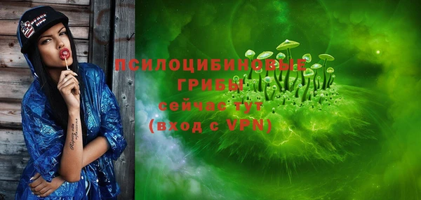 тгк Богородск