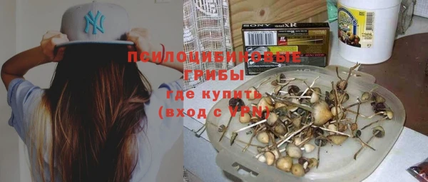 шишки Богородицк